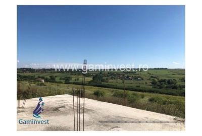 Spațiu comercial, în Cetariu - 1