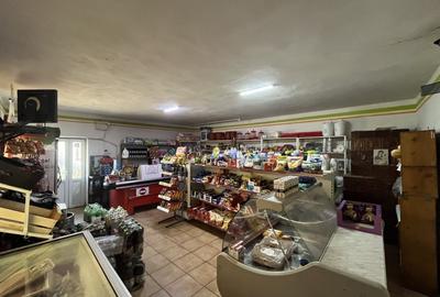 Casă individuală cu 4 camere cu Teren 4379 Mp în Giubega - 11