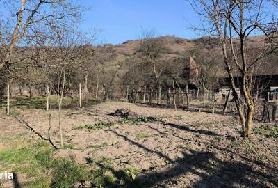 Casă cu 4 camere în Șilea Nirajului - 17