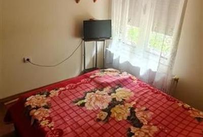 Casa 3 Camere Timisoara Cetatii - 2