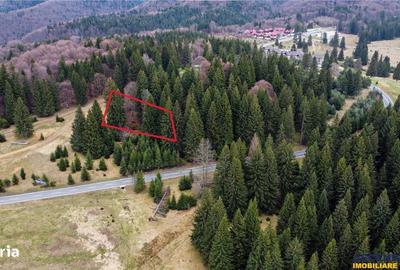 Spațiu comercial, în Poiana Brașov