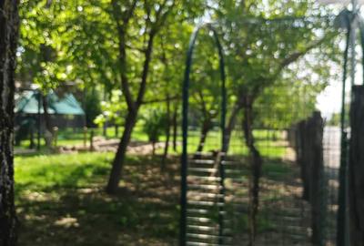 Proprietate specială, de 30 mp, în Sinești - 14