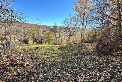 Teren 4044mp, 18 km de Campina, asfalt, utilitati, pretabil investitie - 4