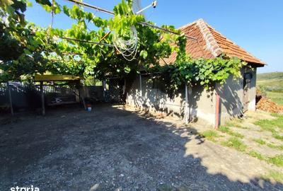 Casă cu 4 camere cu Teren 4600 Mp în Lăzăreni - 19