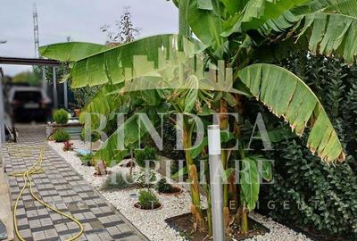 Duplex Dumbravita 97mp utili- 300mp teren Duplex Dumbravita 97mp utili- 300mp teren - 12