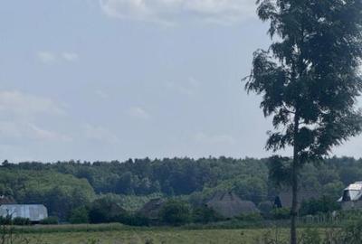 Teren generos, intravilan, 13.518 mp, Marginea - 2