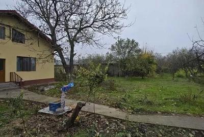 Casă cu 6 camere cu Teren 4000 Mp în Vedea - 2