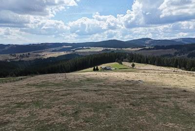 Teren de vanzare 15 hectare in Bucovina Moldova Sulita zona Lucina - 4