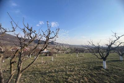 Teren Construcții intravilan de 3100 mp, în Mititei - 2