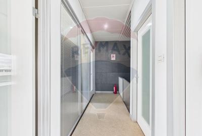 Spațiu industrial, de 472.66000366211 mp, în Theodor Pallady - 6