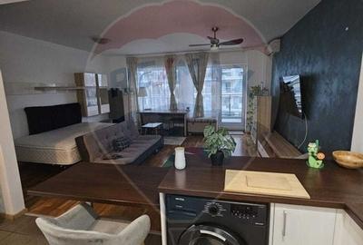 De inchiriat garsoniera spatioasa in Dristor - 4