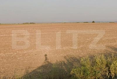 Teren Construcții extravilan de 22192 mp, în Cârcea - 1