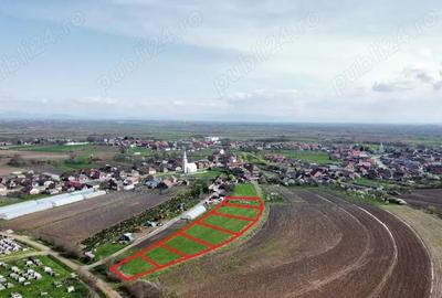 Parcele de teren - 729 mp | Amati - 3,5 km de Satu Mare - 3