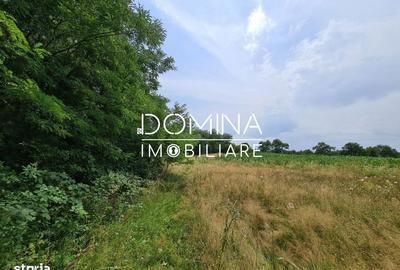 Teren de 178599 mp, în Runcu - 2