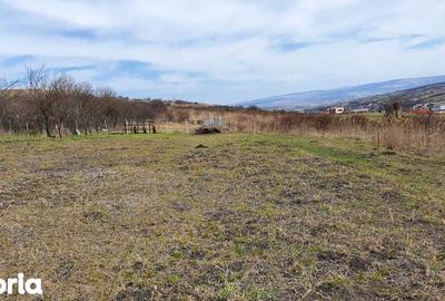 Teren de 1800 mp, în Central - 5