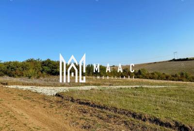 Teren agricol extravilan de 651 mp, în Rusciori - 3