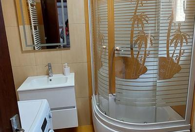 Apartament cu 2 camere decomandat în Dumbrăvița - 2