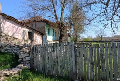 Vand casa batraneasca - 3
