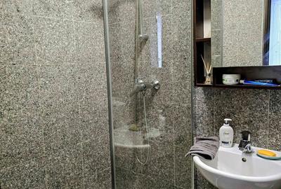 Apartament cu 2 camere în Cișmigiu - 3