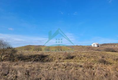 Oportunitate de investitie! Teren intravilan de vanzare in zona lacului Chinteni - 7