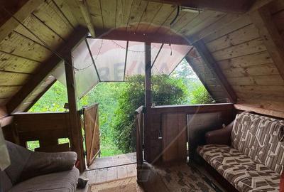 DE VANZARE - Cabana / casa vacanta in COAS - 2