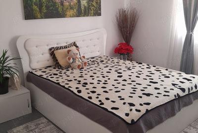 Casă cu 3 camere în Josani (Măgești) - 6