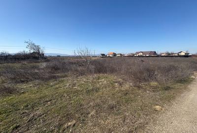 Teren intravilan de 5000 mp, în Obor - 2