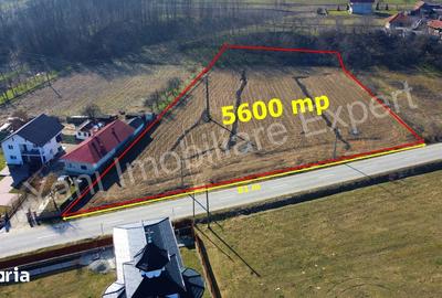 Teren de 5600 mp, în Băiculești - 8