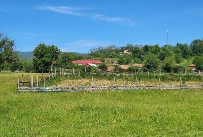 Teren de 1743 mp, în Tisău - 3