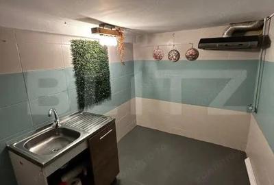 Randament excelent: casa de 37 mp in cautatul cartier Domenii - 8