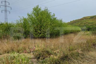 Teren extravilan 17524 mp, expunere sudica, Viforata - 18