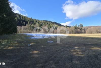 Teren de 19200 mp, în Brădet - 12