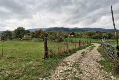 Teren de 990 mp, în Cacica - 2