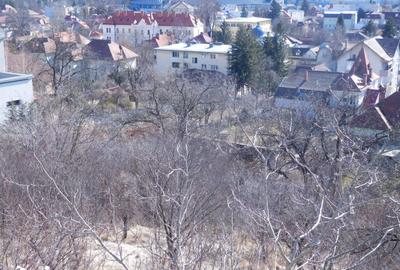 Teren de 980 mp, în Grigorescu