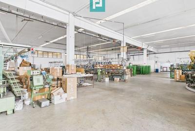 Hală de producție, cu birouri și teren, în Sebiș - 17