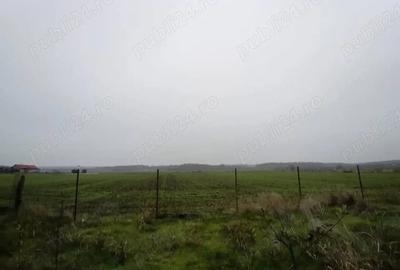 Casa + 1700 m teren in Vitane?ti, Teleorman 35.000 (negociabil) - 5