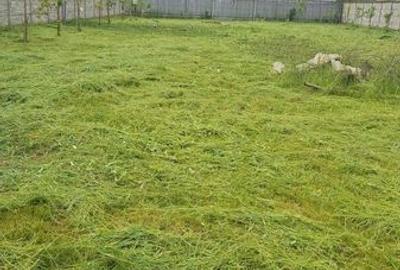 Teren de 1250 mp, în Snagov