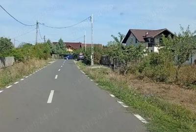 Teren de 12000 mp, în Moșoaia - 1