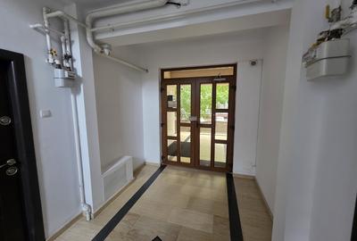 Ion Mihalache-Domenii - 8