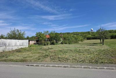 Spațiu comercial, în Cauaceu - 7