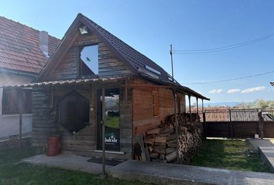 Casă cu 2 camere cu Teren 4300 Mp în Dulcele - 9