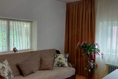 Casă cu 2 camere cu Teren 2110 Mp în Chilioara - 4