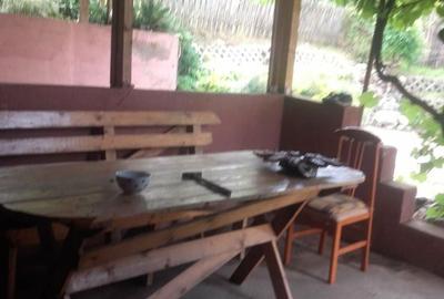 Casă cu 3 camere în Teiu