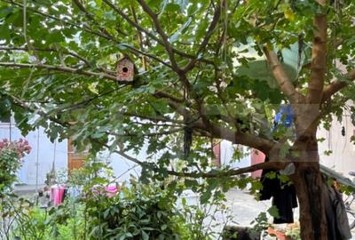 Casa cu curte comuna 2 ap. separate, zona Pia?a Abato Casa cu curte comuna 2 ap. separate, zona Pia?a Abato - 10