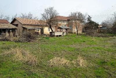 Casă cu 9 camere cu Teren 3100 Mp în Segarcea-Deal - 2