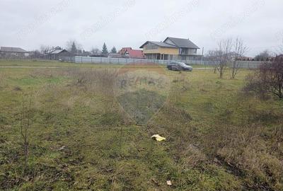 Teren 519mp Dumbrava Rosie / Strada CRANGULUI - 9