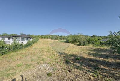 Teren de 2077 mp, în Podgoria