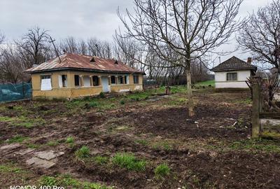 Spațiu comercial, în Lacu Turcului - 3