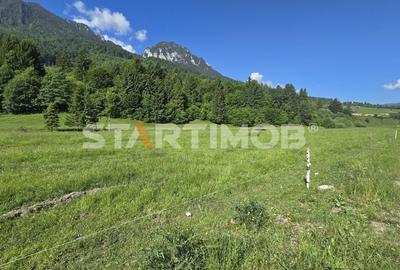 Teren intravilan Zarnesti Plaiul Foii - 11