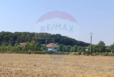 Teren 650mp Ghermanesti / Strada Milcov - 5